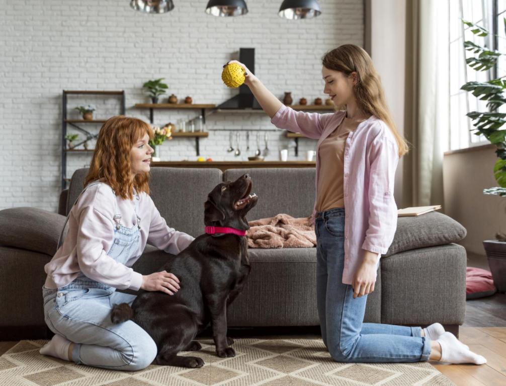 2026 pet care trends in the UK for pet owners and professional pet sitters